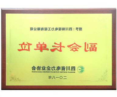 四川省电力企业协会副会长单位